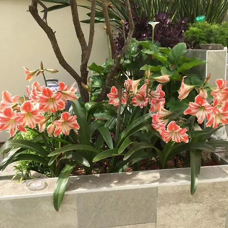 Apartment Bizcocheros Con Piscina Y Jardin Privado