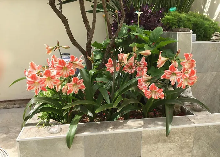 Apartment Bizcocheros Con Piscina Y Jardin Privado